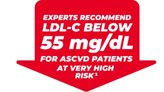 expert-recommend-ldlc